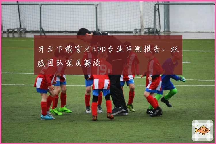 开云下载官方app专业评测报告，权威团队深度解读