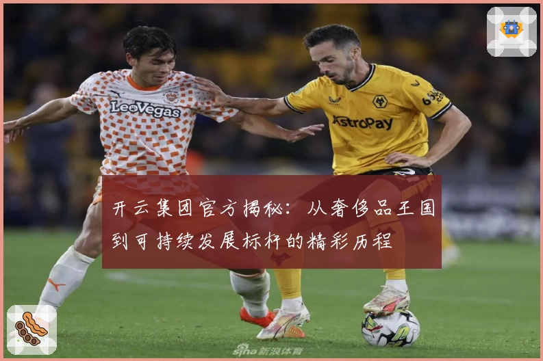 开云集团官方揭秘：从奢侈品王国到可持续发展标杆的精彩历程