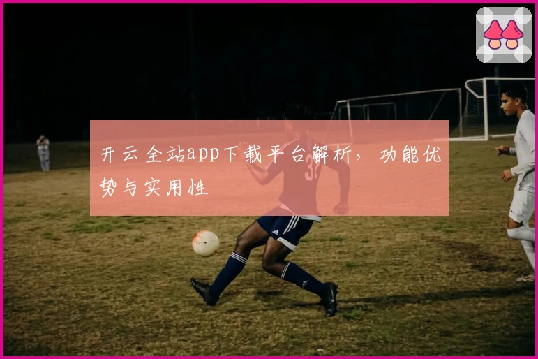 开云全站app下载平台解析,功能优势与实用性