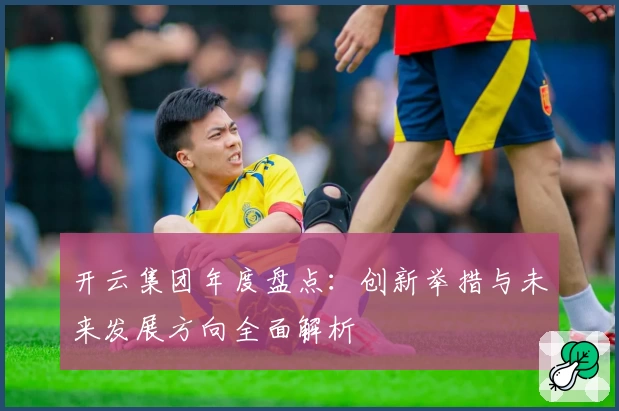 开云集团年度盘点：创新举措与未来发展方向全面解析