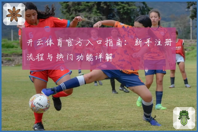 开云体育官方入口指南：新手注册流程与热门功能详解