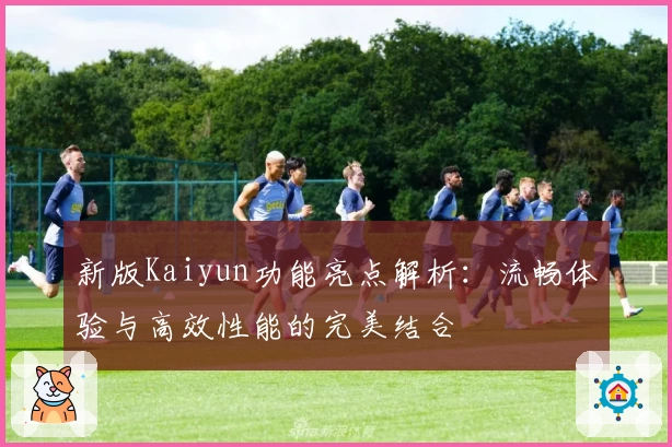 新版Kaiyun功能亮点解析:流畅体验与高效性能的完美结合